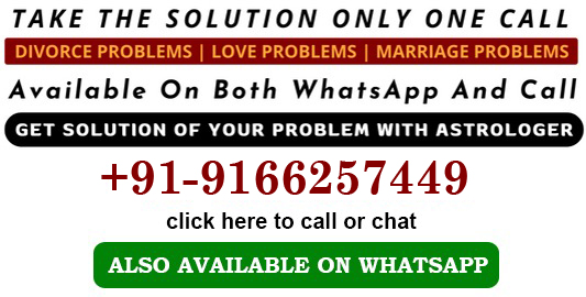 WhatsApp contact for Love Problem Solution Astrologer in Pune